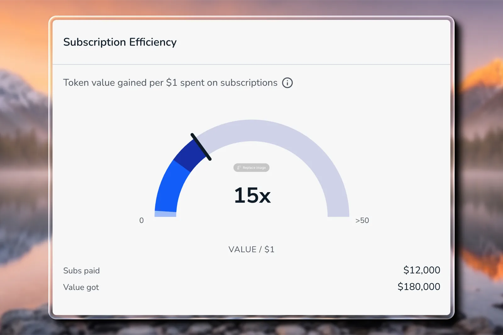Torii Subscription Efficiency gauge showing token value gained per dollar spent on subscriptions