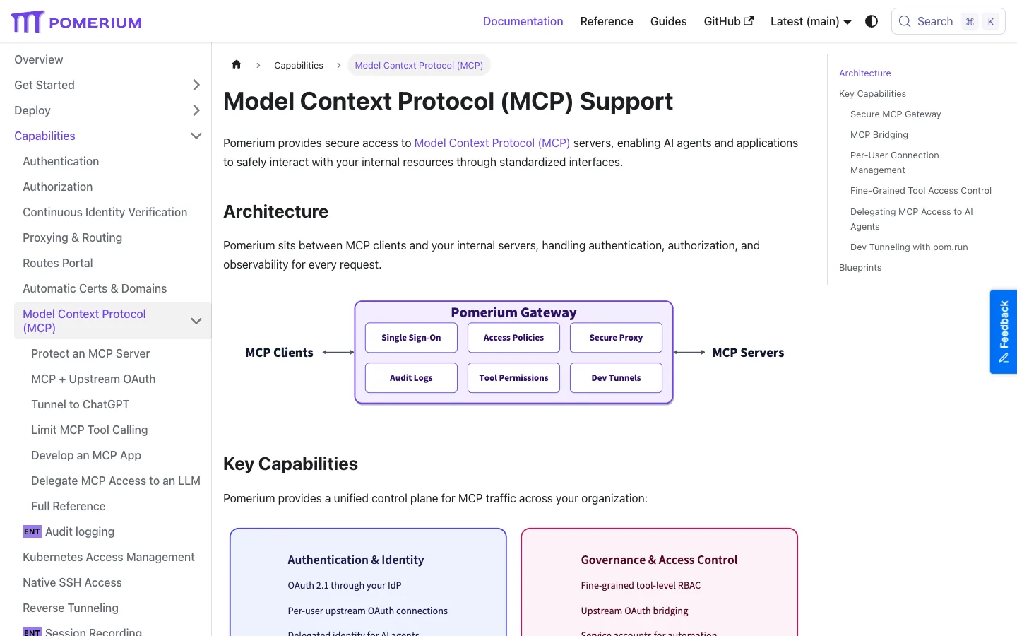 pomerium mcp server visibility for ai management