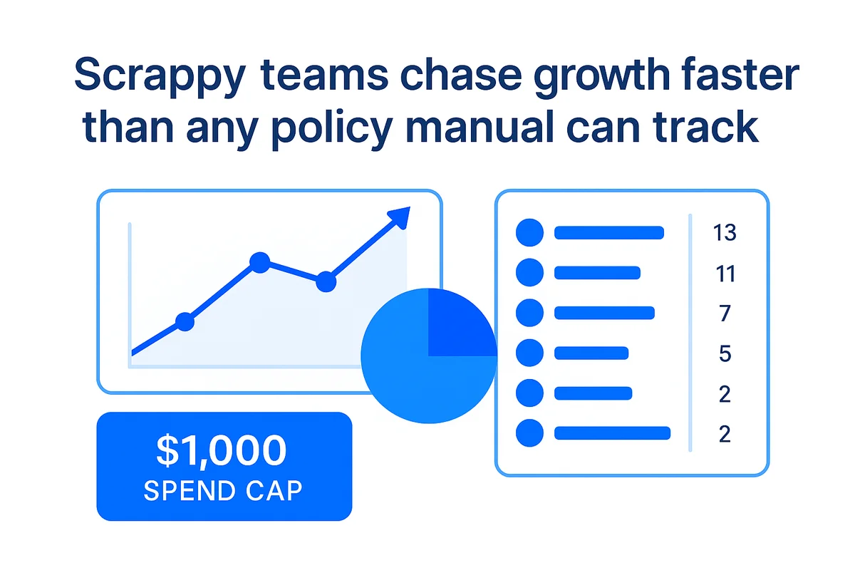 a fast-paced team uses software tools without formal oversight, leading to duplicate resources and inefficiencies.