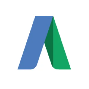 Google Ads Torii Integration