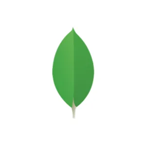 MongoDB Torii Integration