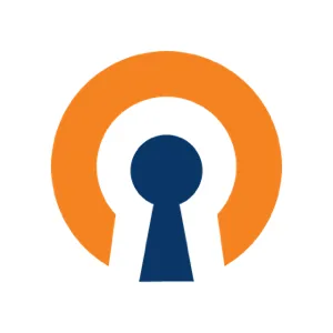 OpenVPN Torii Integration