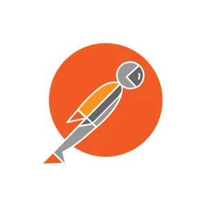 Postman Torii Integration