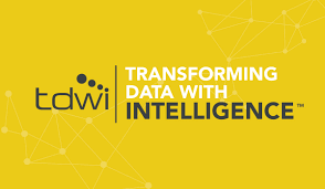Transforming Data with Inteligence logo - Torii