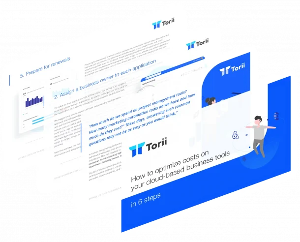 6 Steps to Optimize Costs on Cloud-Based Tools - Torii